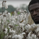 Aldis Hodge as Noah in the new WGN series Underground
WGN via YouTube screenshot